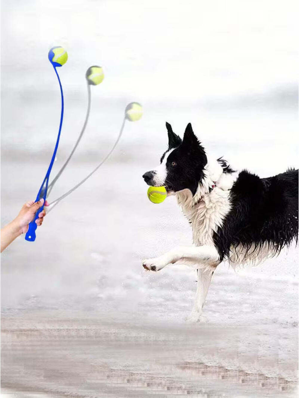 Pet Ball Launcher Dog Training Toy Thrower
